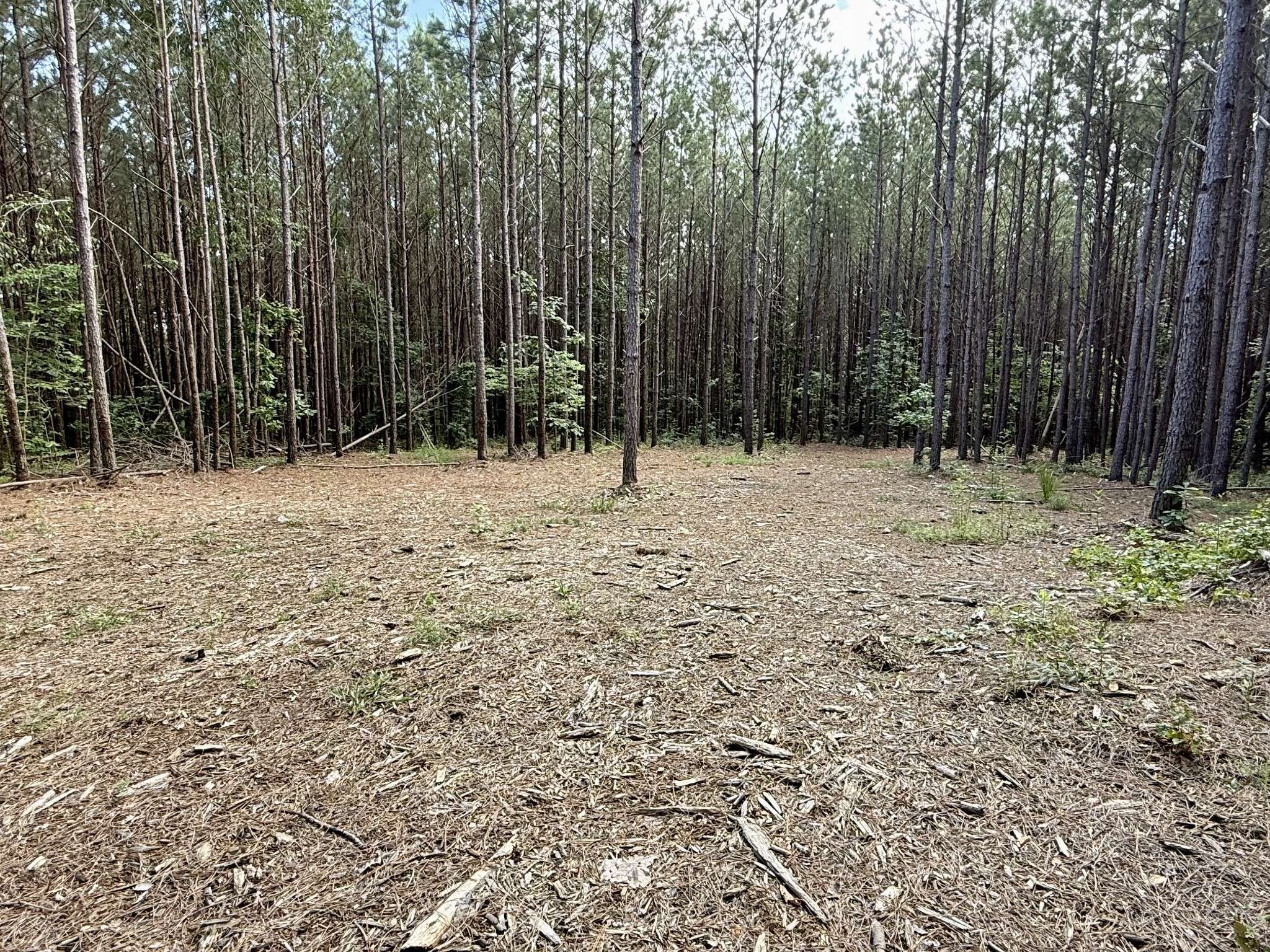 191 Seiber Ridge RD, Hohenwald, TN 38462