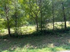 0 Shelter Branch Road, Charlotte, TN 37036