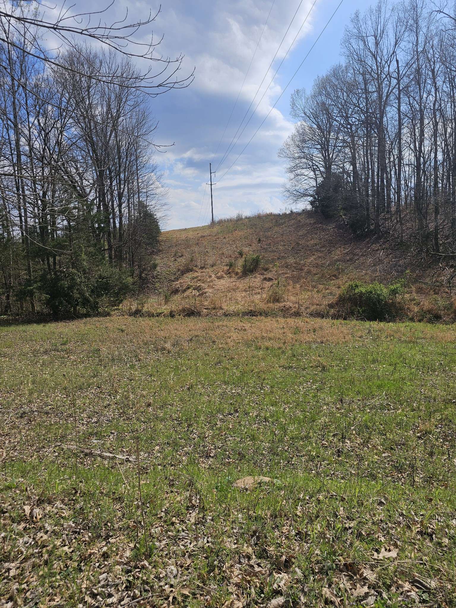 0 Robert Ford Cove, Clifton, TN 38425