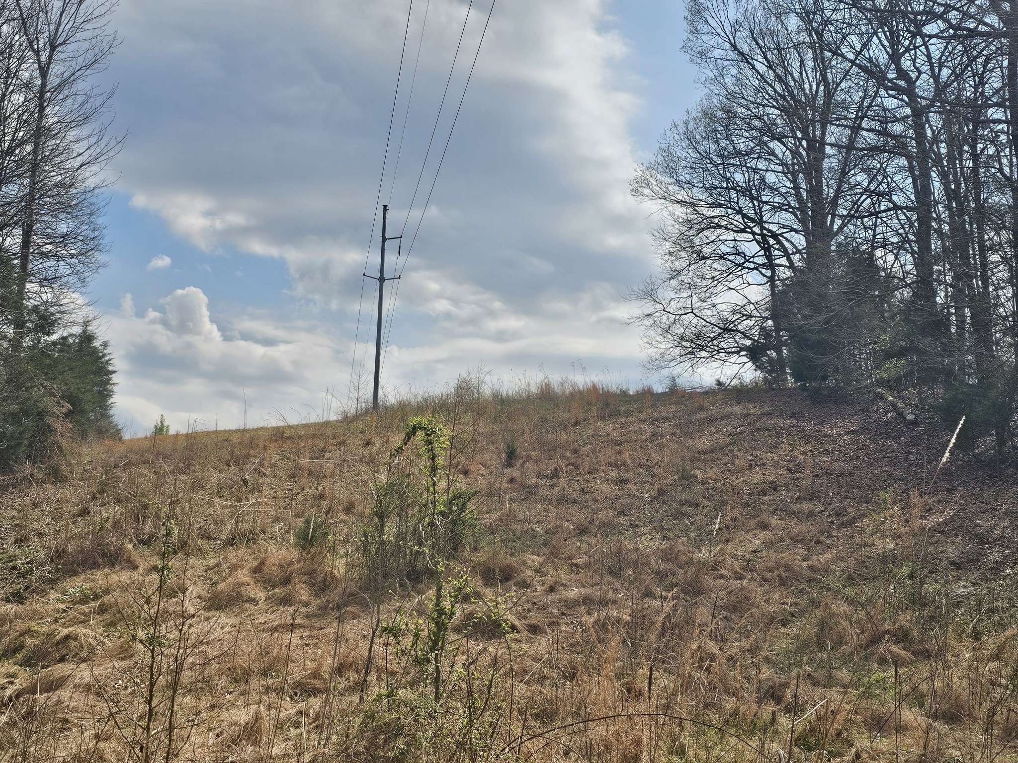 0 Robert Ford Cove, Clifton, TN 38425
