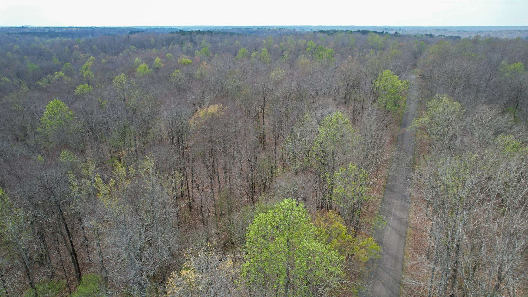 0 Holladay Road, Holladay, TN 38341