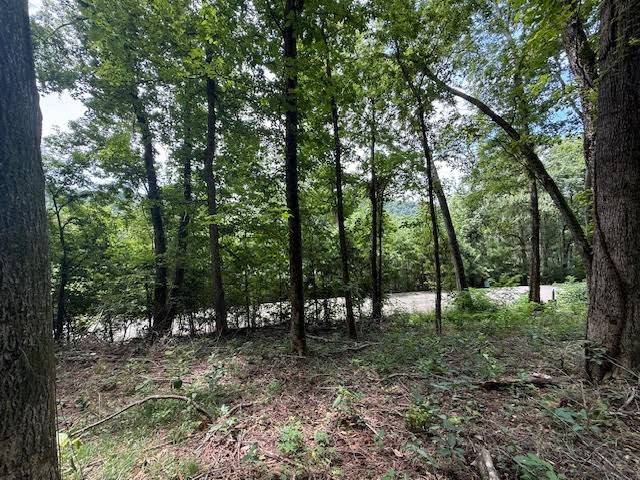 74 Williamson Cir, Smithville, TN 37166