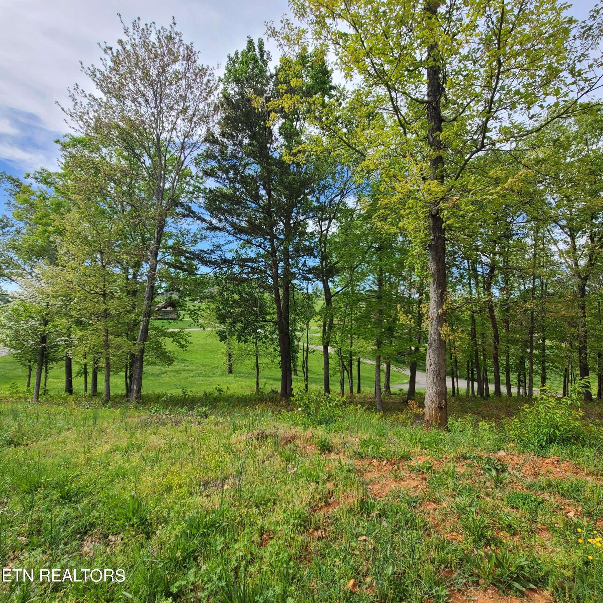 92 Majestic Circle, Dandridge, TN 37725