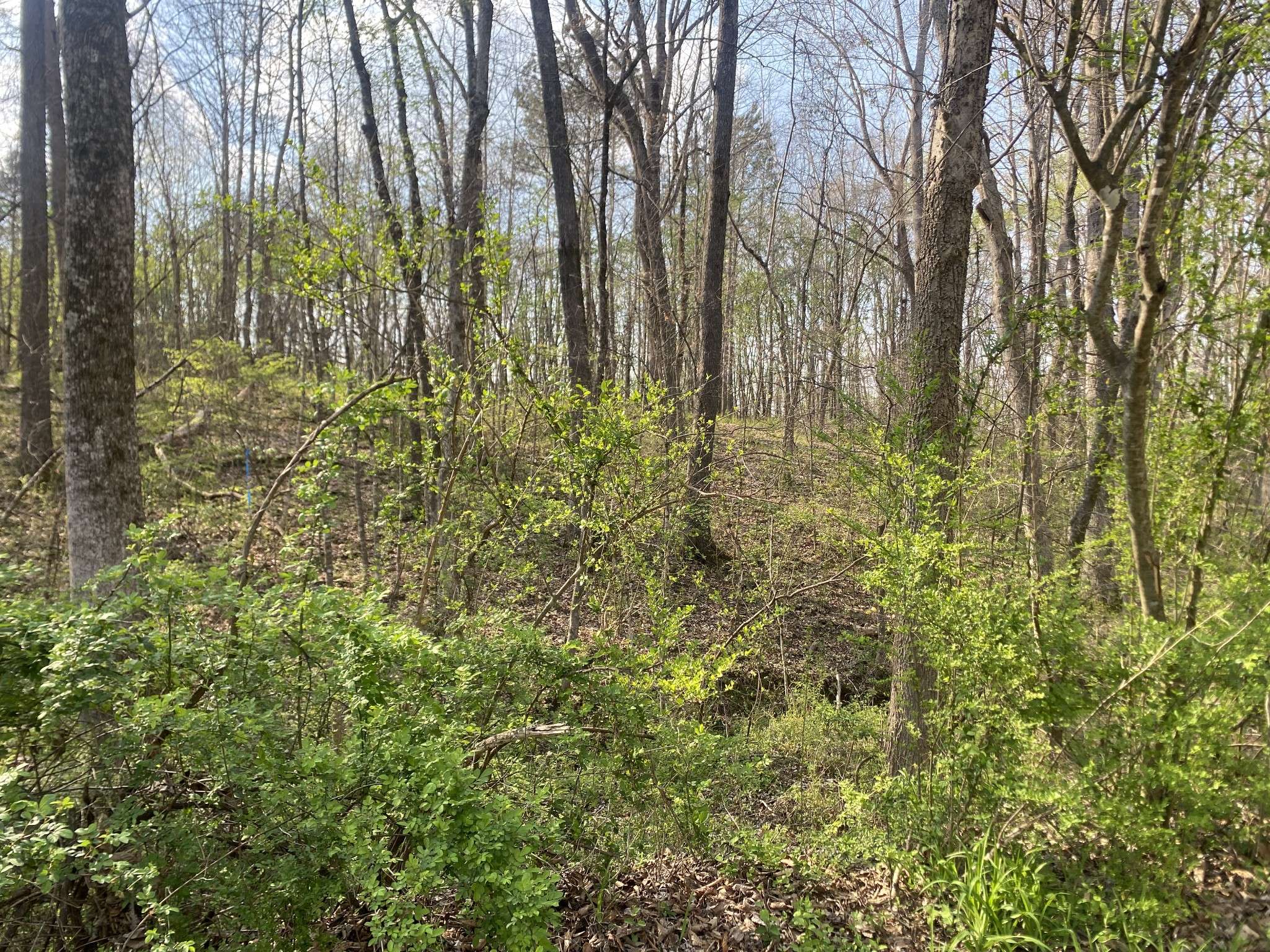 0 Mountain View Drive, Morrison, TN 37357