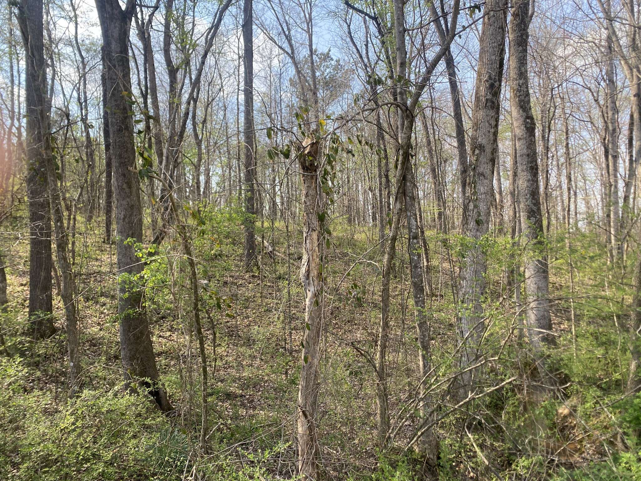0 Mountain View Drive, Morrison, TN 37357