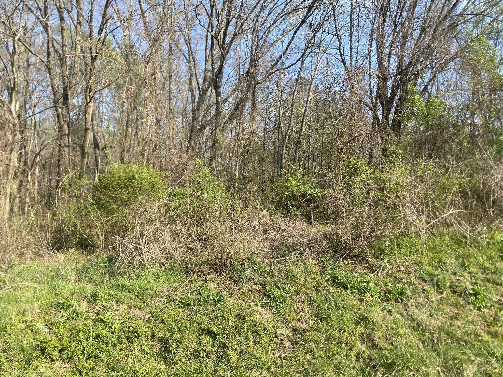 0 Mountain View Drive, Morrison, TN 37357
