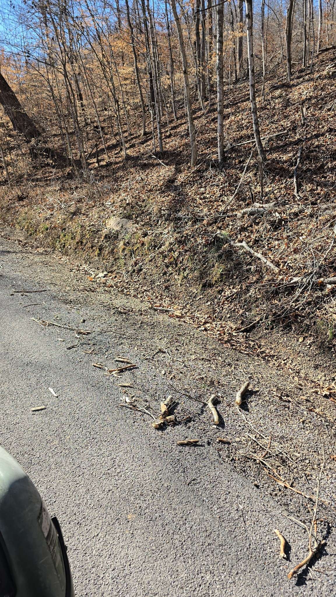 0 Honey Fork Road, Indian Mound, TN 37079