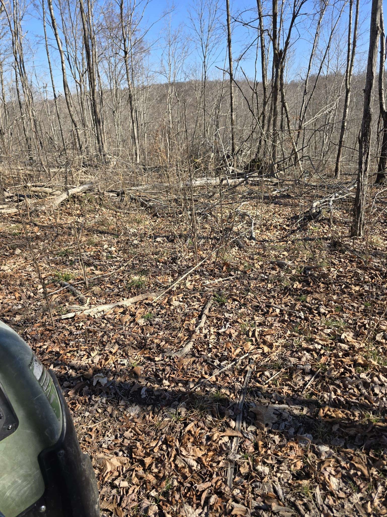 0 Honey Fork Road, Indian Mound, TN 37079