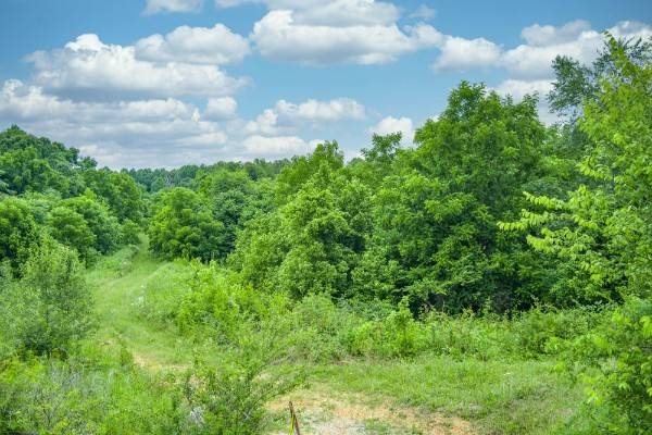 0 Center point acres #N, Walling, TN 38587