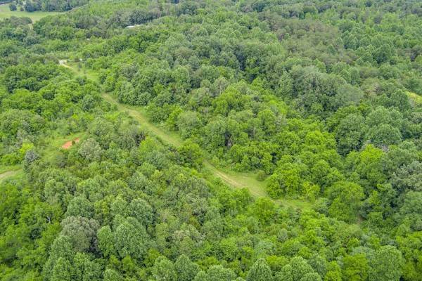 0 Center point acres #N, Walling, TN 38587
