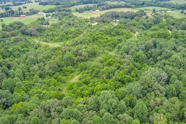 0 Center point acres #N, Walling, TN 38587
