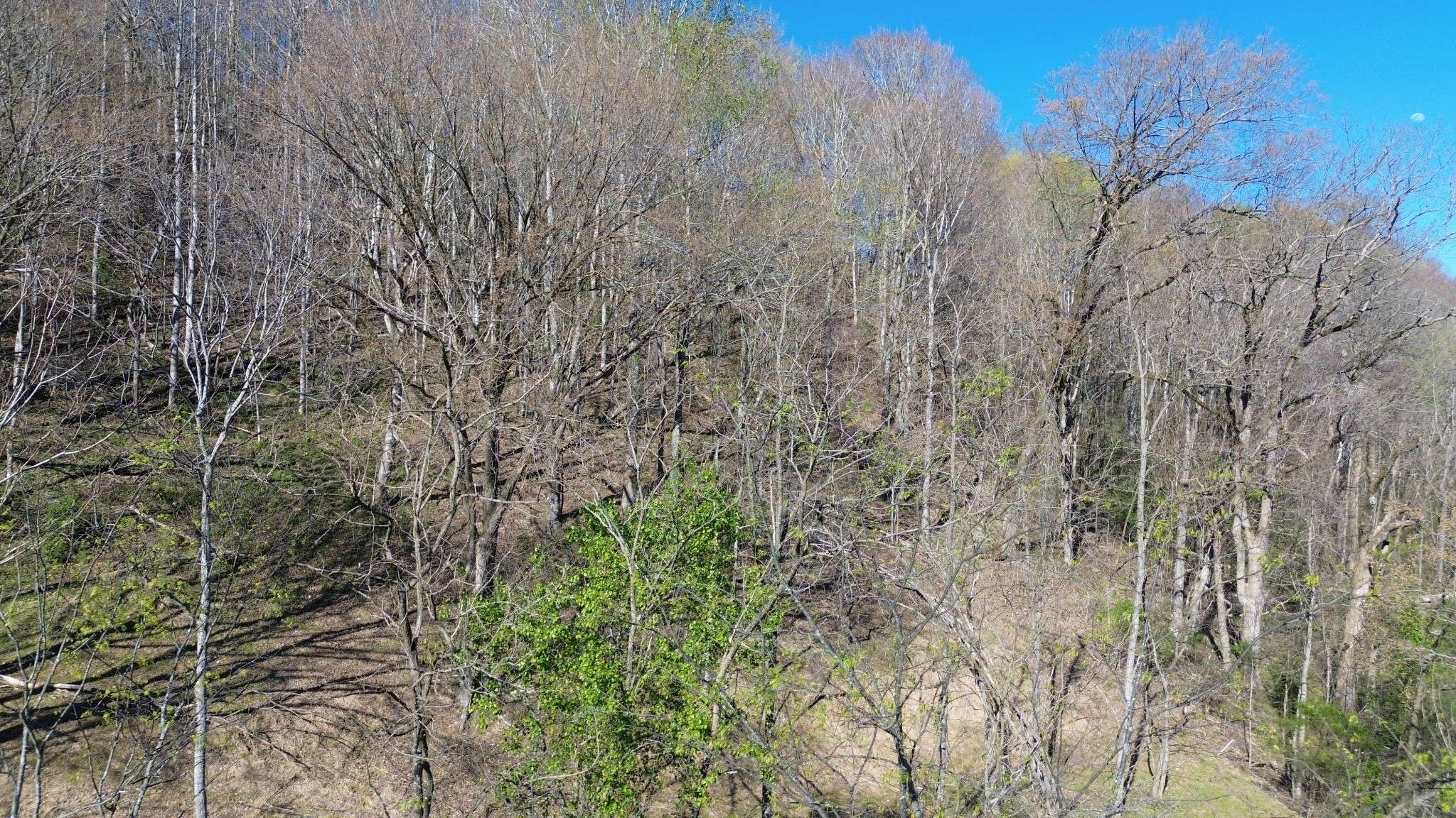 0 Blackberry Ridge Way, Smithville, TN 37166