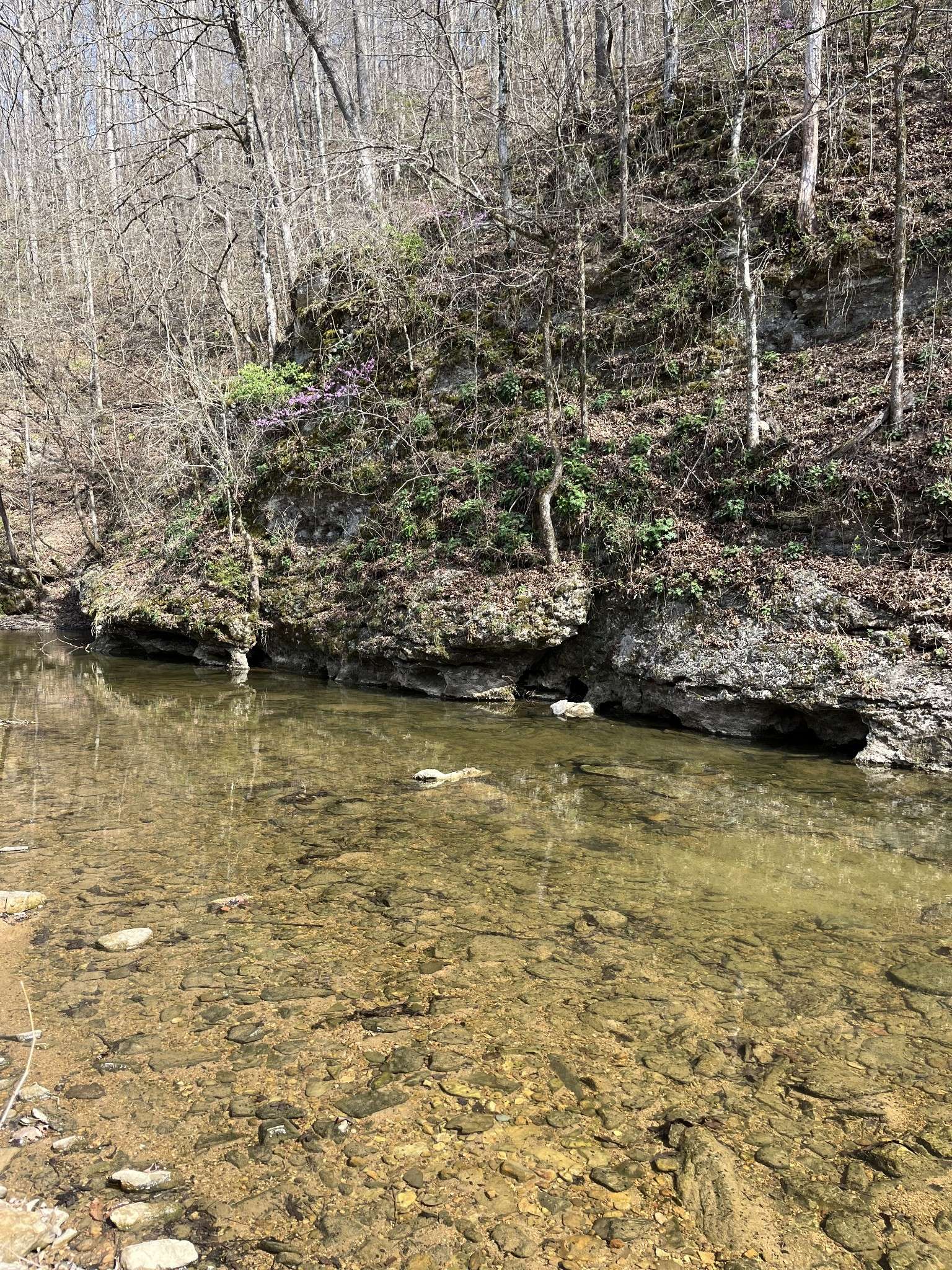 100 Henley Rd, Ashland City, TN 37015