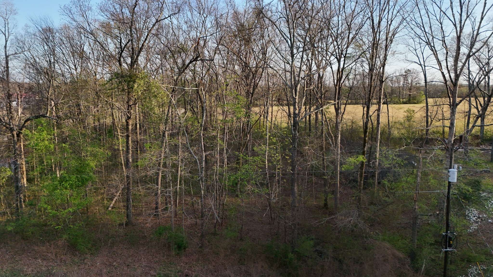 204 Alps Dr, Hohenwald, TN 38462