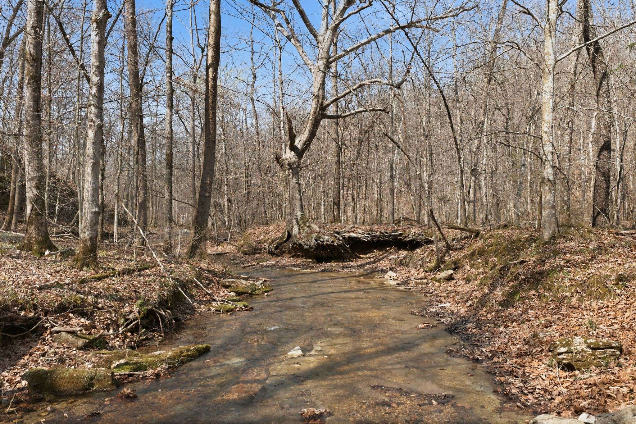 0 Cave Branch Road, Dickson, TN 37055