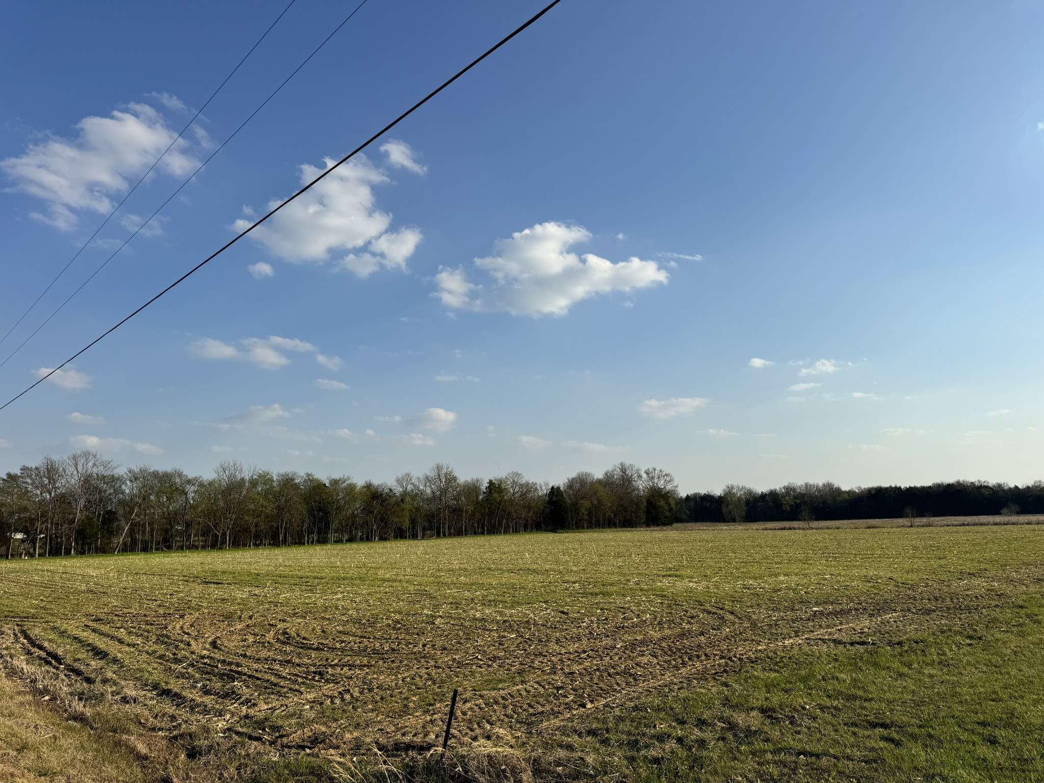 0 Coopertown Rd, Unionville, TN 37180