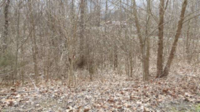 0 Beaver Lane, Gainesboro, TN 38562