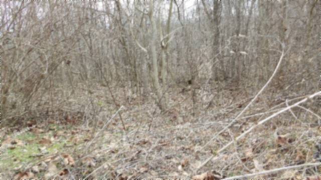 0 Beaver Lane, Gainesboro, TN 38562