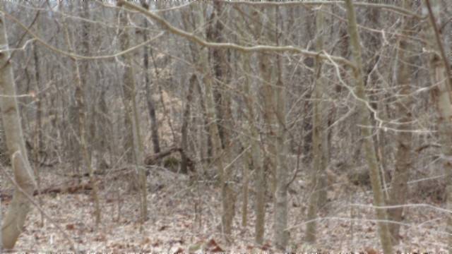 0 Beaver Lane, Gainesboro, TN 38562