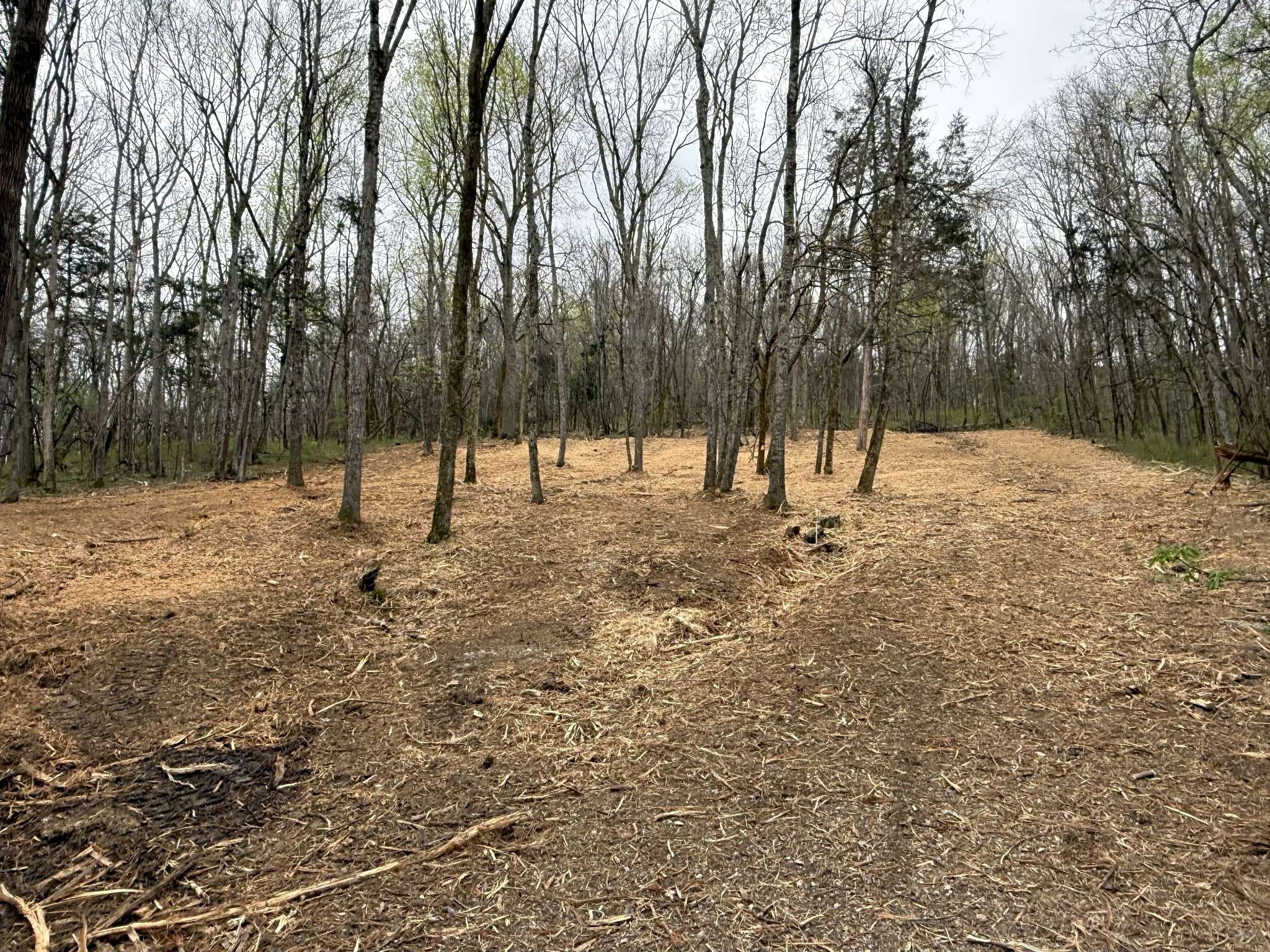 0 Saddle Lane, Hartsville, TN 37074