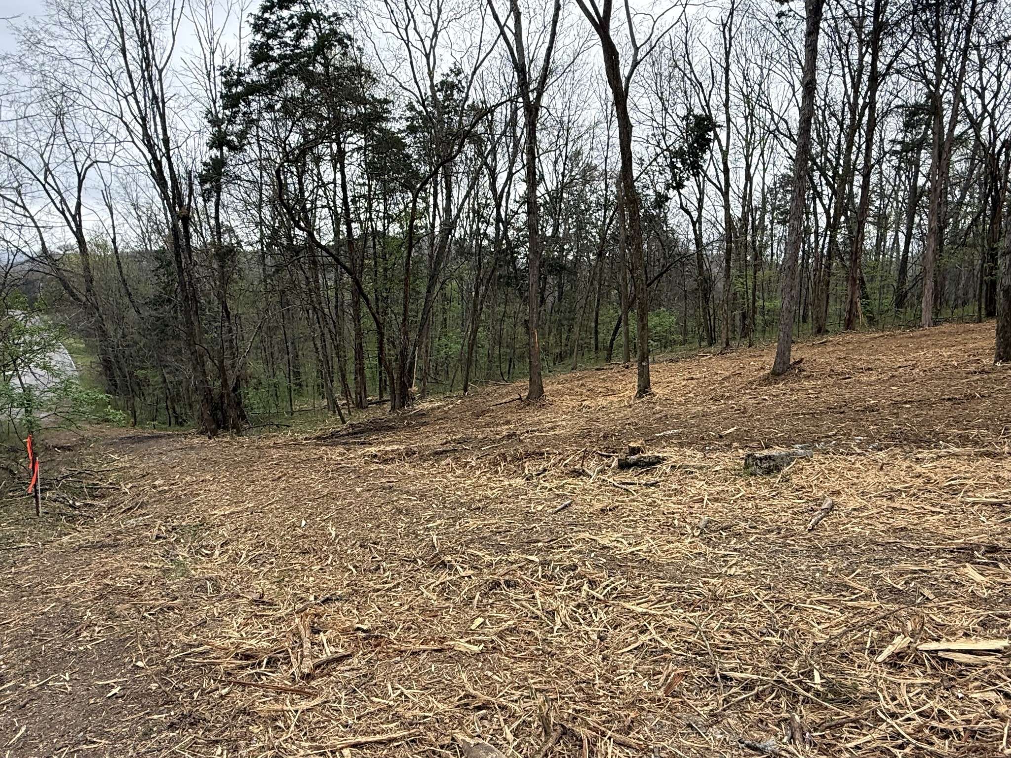 0 Saddle Lane, Hartsville, TN 37074