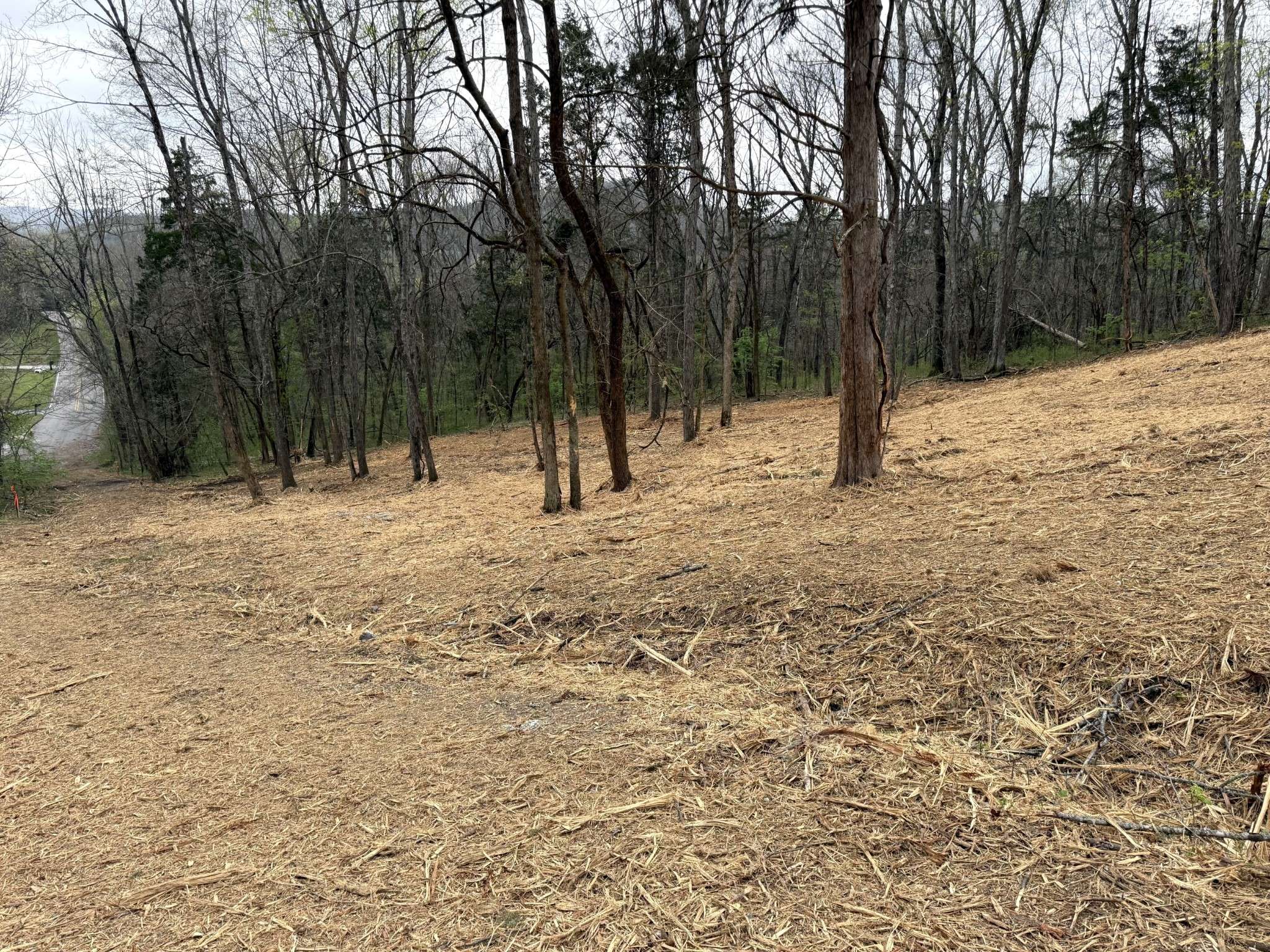 0 Saddle Lane, Hartsville, TN 37074