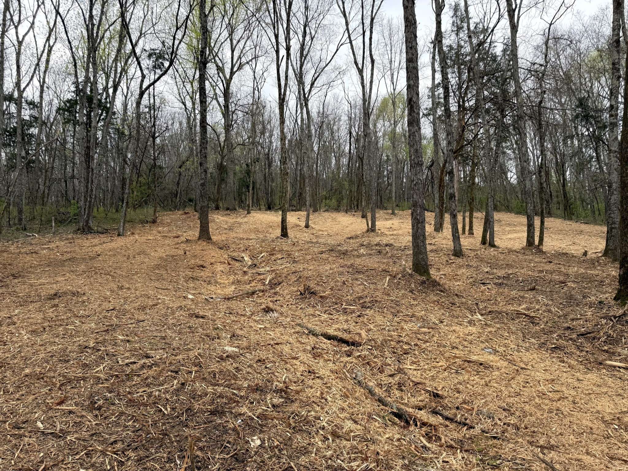 0 Saddle Lane, Hartsville, TN 37074