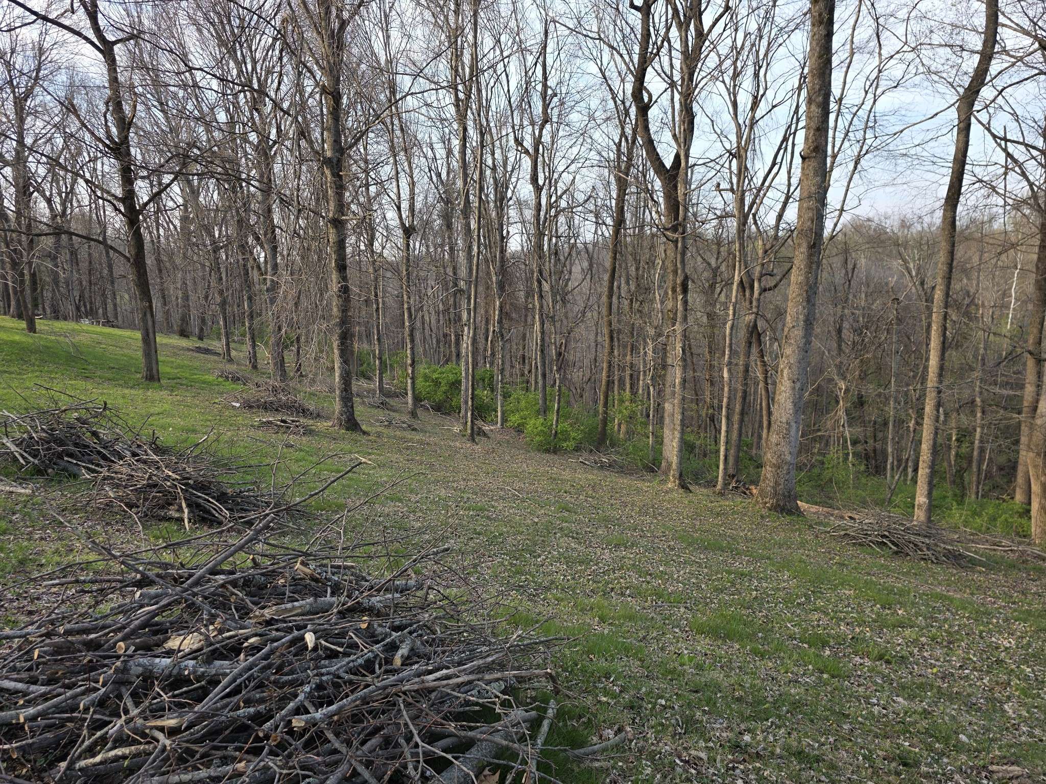 0 Griffith Rd, Nashville, TN 37221