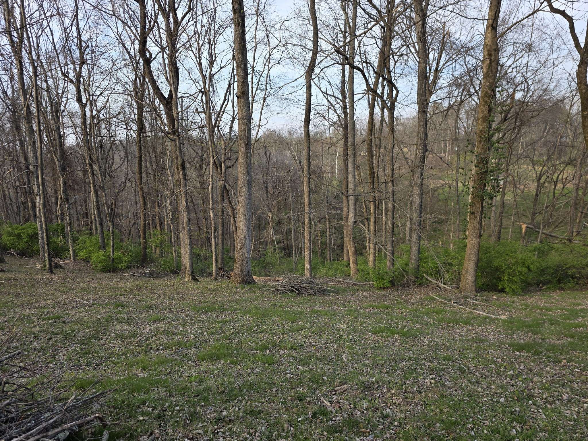 0 Griffith Rd, Nashville, TN 37221