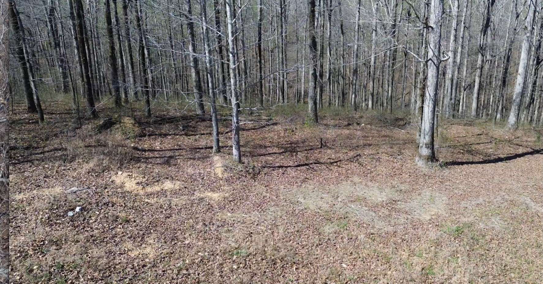 0 Owl Circle, Hurricane Mills, TN 37078