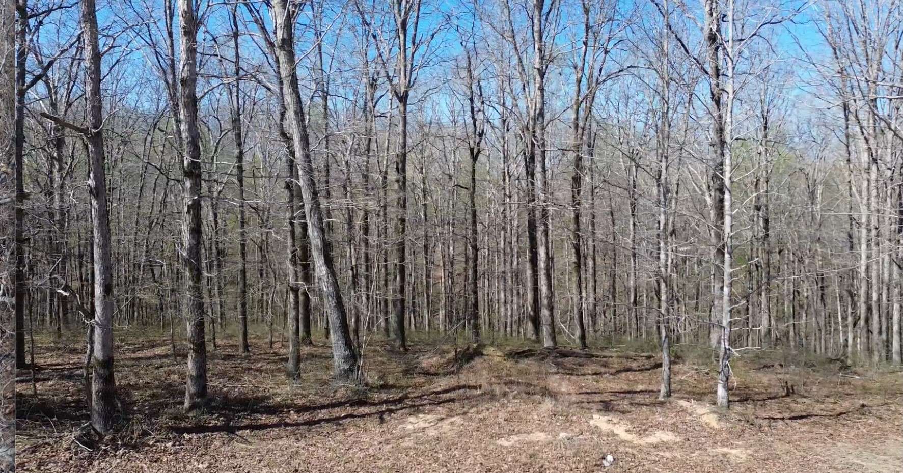 0 Owl Circle, Hurricane Mills, TN 37078