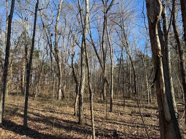 120 S Woods Rd, Mcminnville, TN 37110