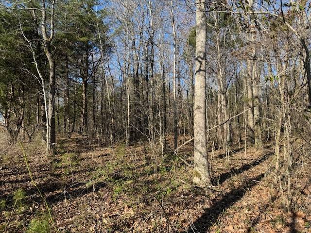 120 S Woods Rd, Mcminnville, TN 37110