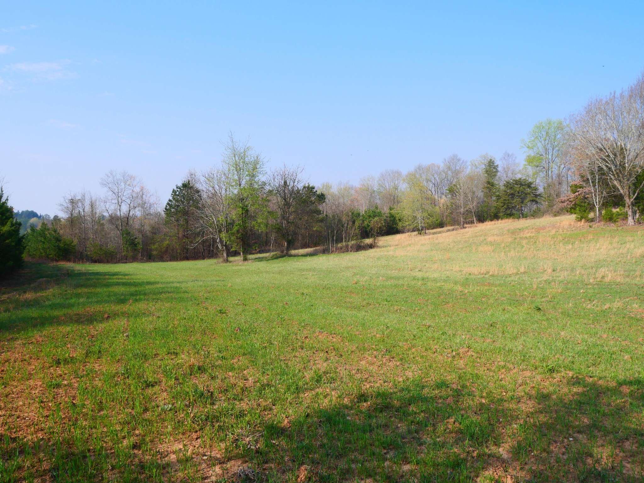 0 Daugherty Ferry Road, Sale Creek, TN 37373