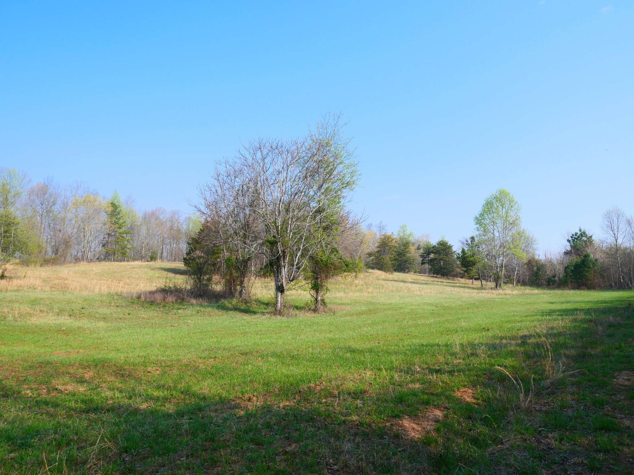 0 Daugherty Ferry Road, Sale Creek, TN 37373