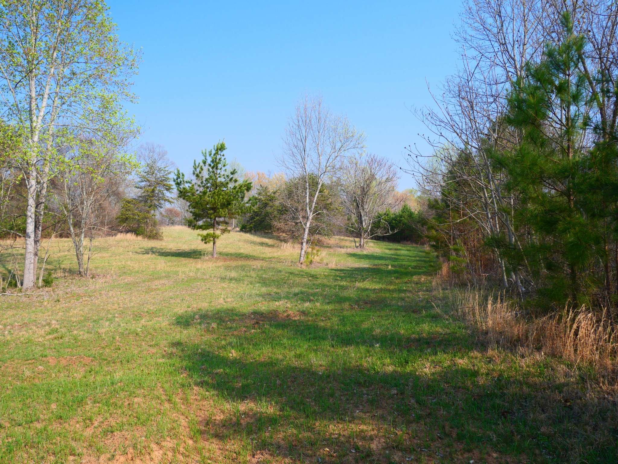 0 Daugherty Ferry Road, Sale Creek, TN 37373