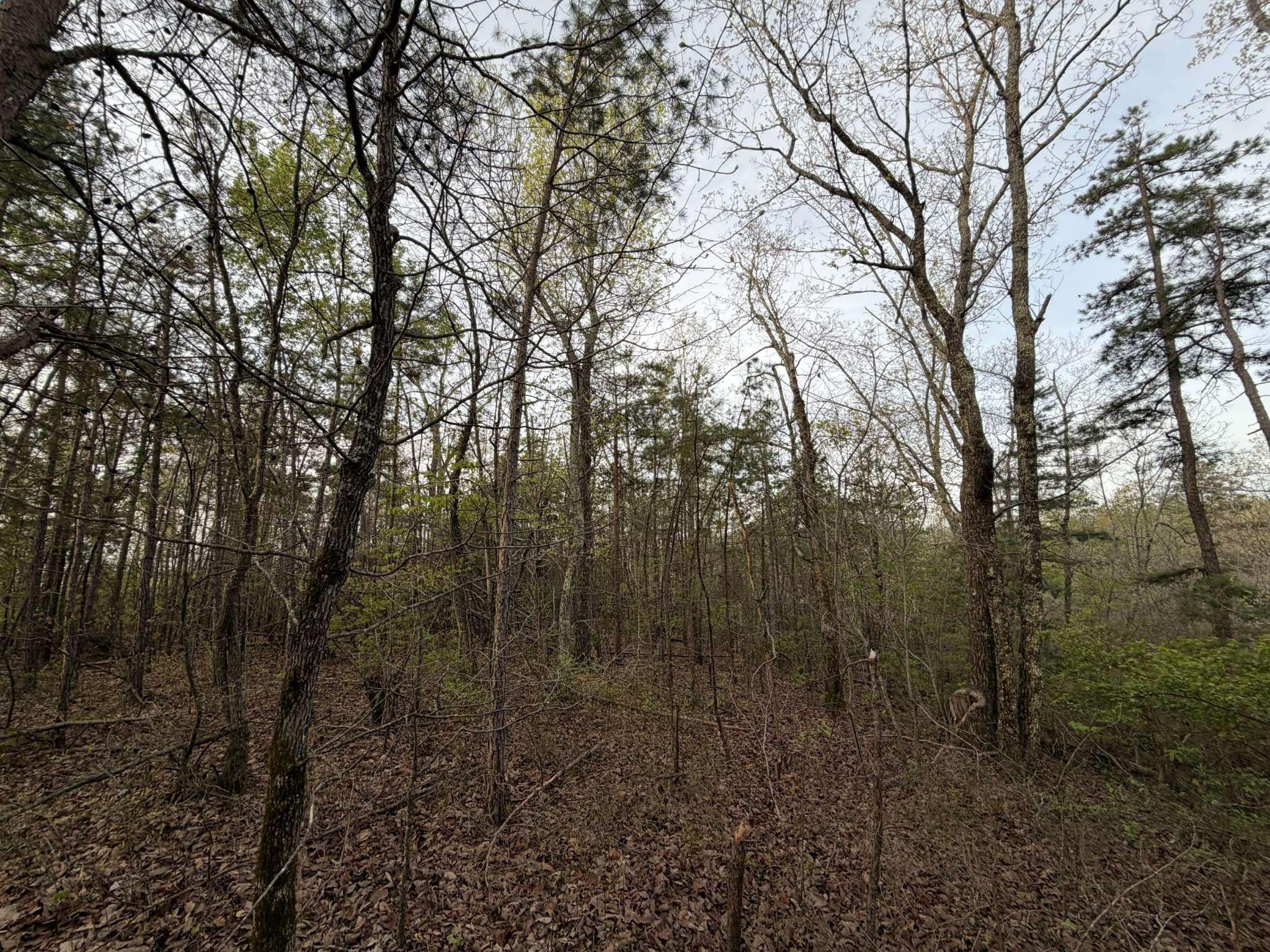 0 Salem Road, Centerville, TN 37033