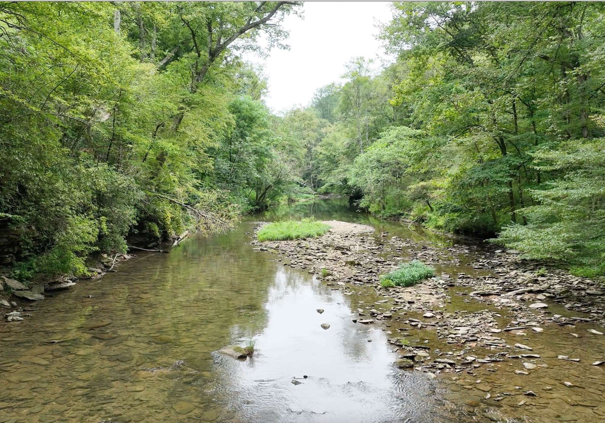 1045 Jones Mill Rd, Smithville, TN 37166