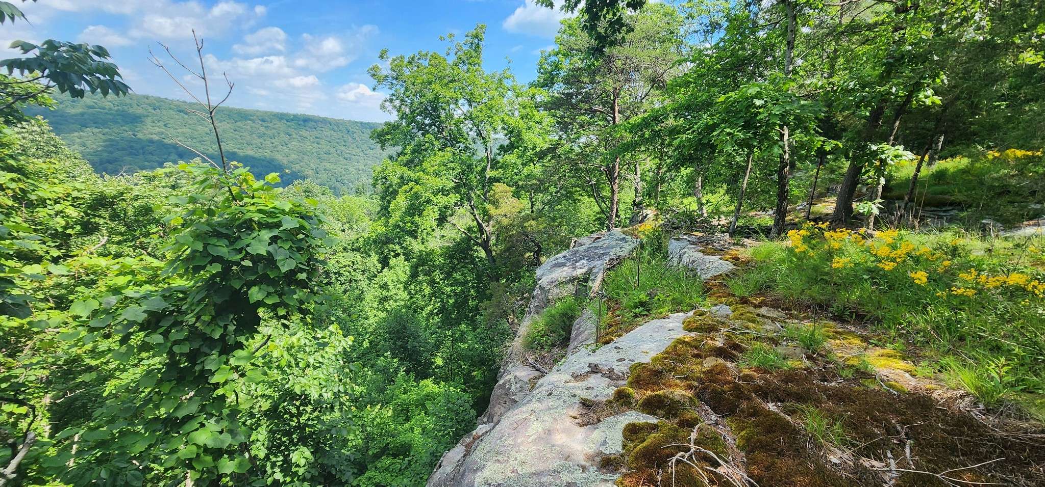 0 Roth Point Road, Altamont, TN 37301