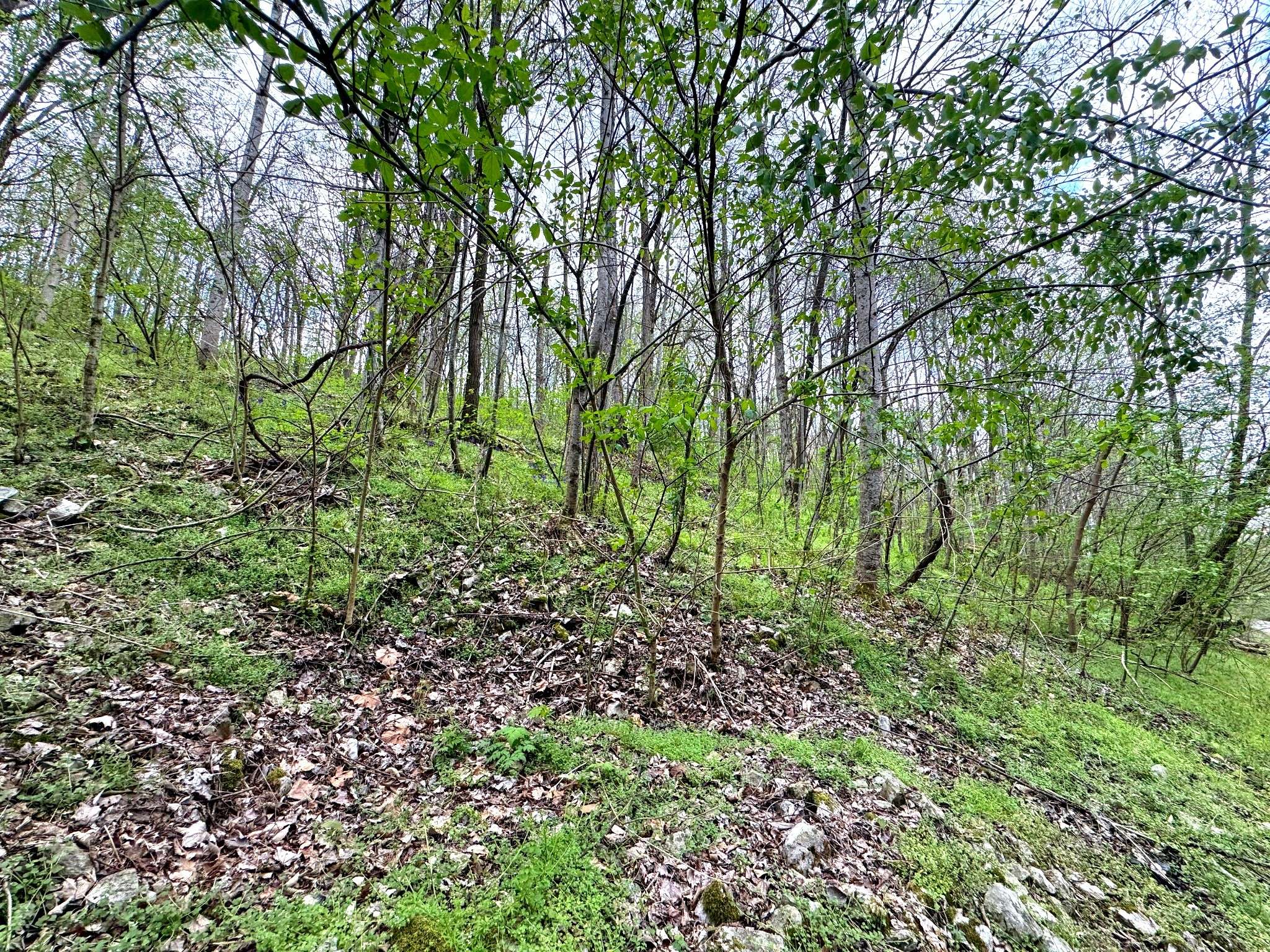 0 Lakeview Dr, Smithville, TN 37166
