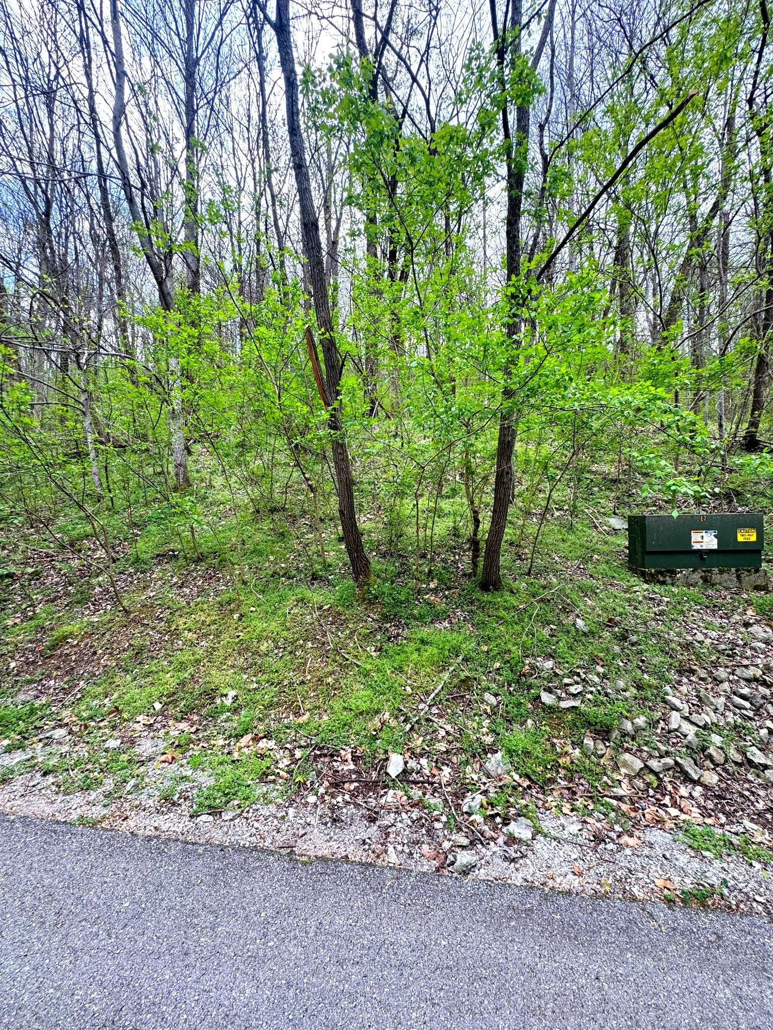 0 Lakeview Dr, Smithville, TN 37166