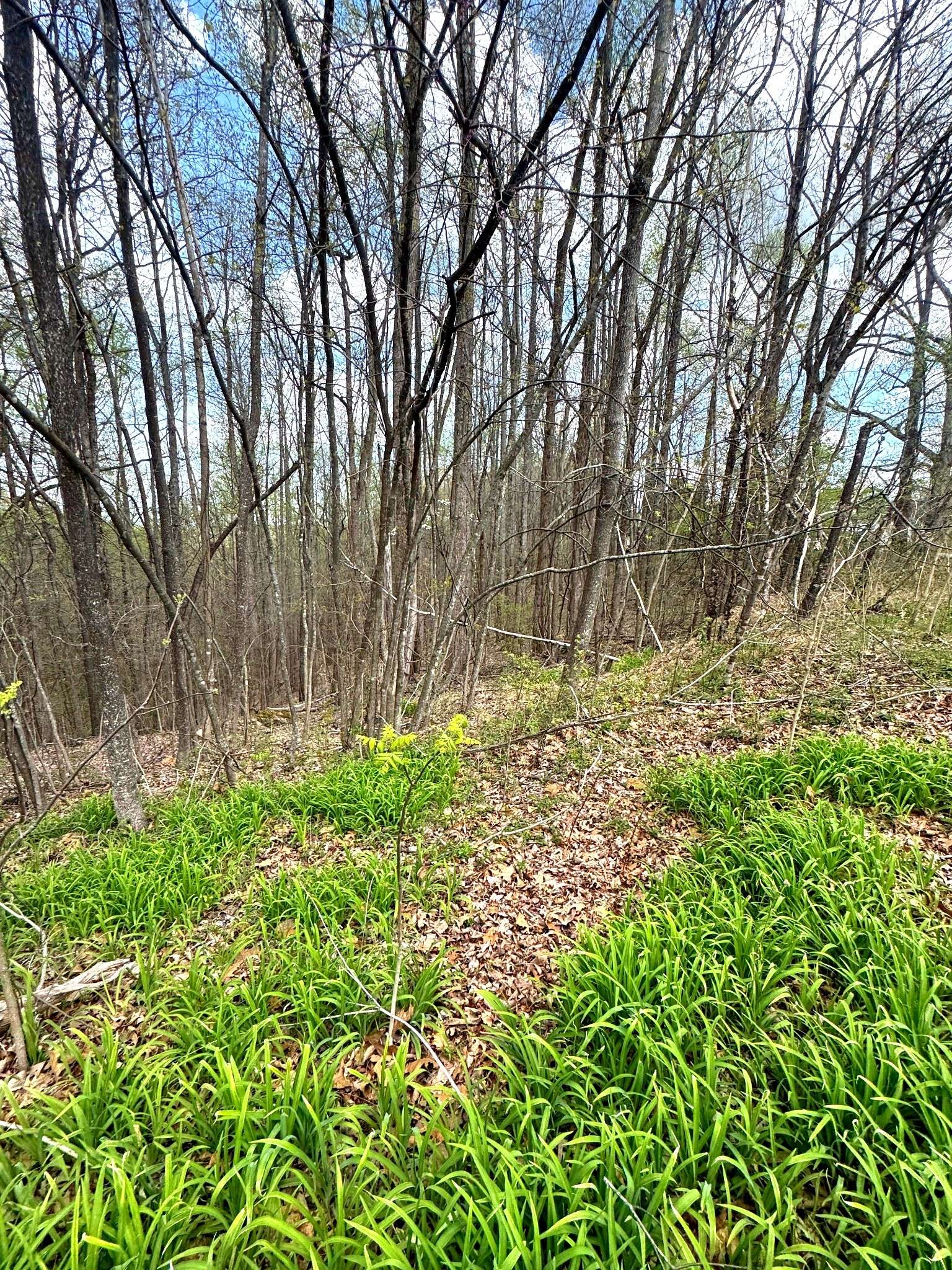 0 Coconut Ridge Rd, Smithville, TN 37166
