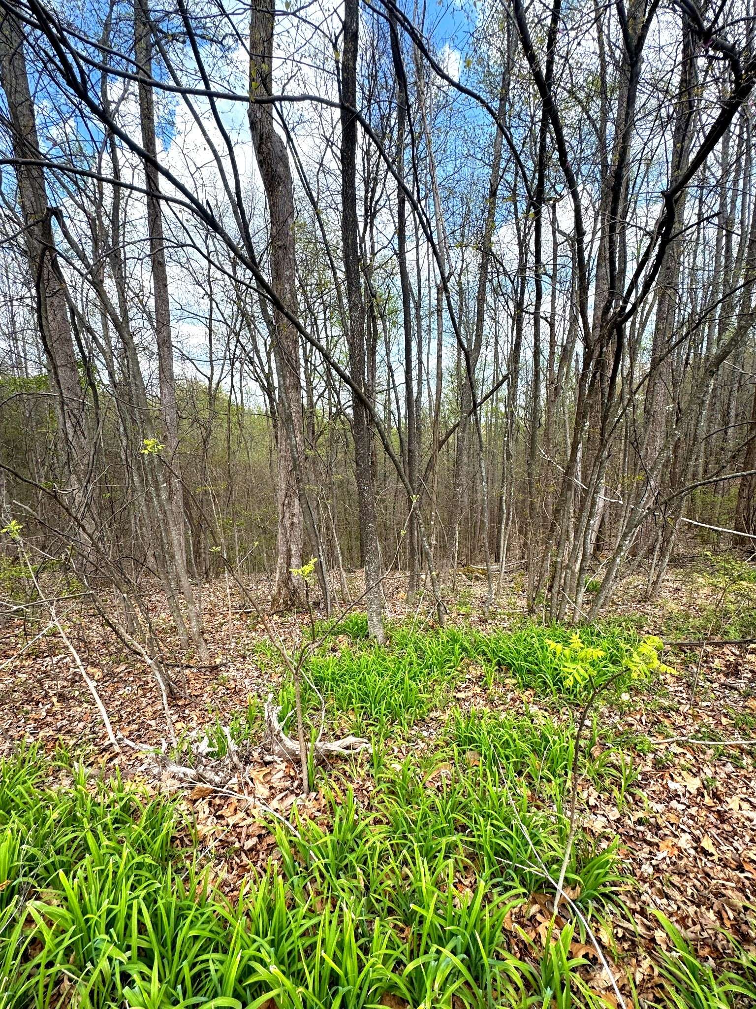 0 Coconut Ridge Rd, Smithville, TN 37166