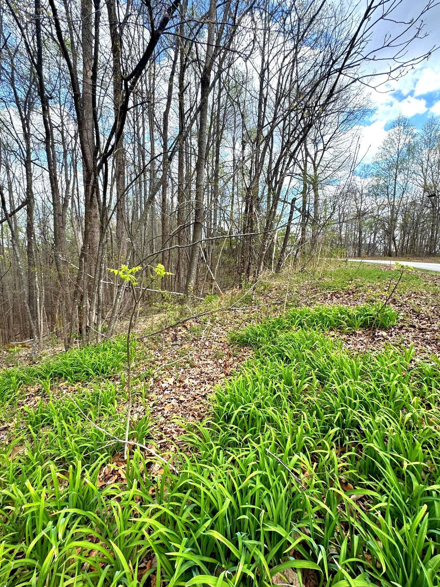 0 Coconut Ridge Rd, Smithville, TN 37166