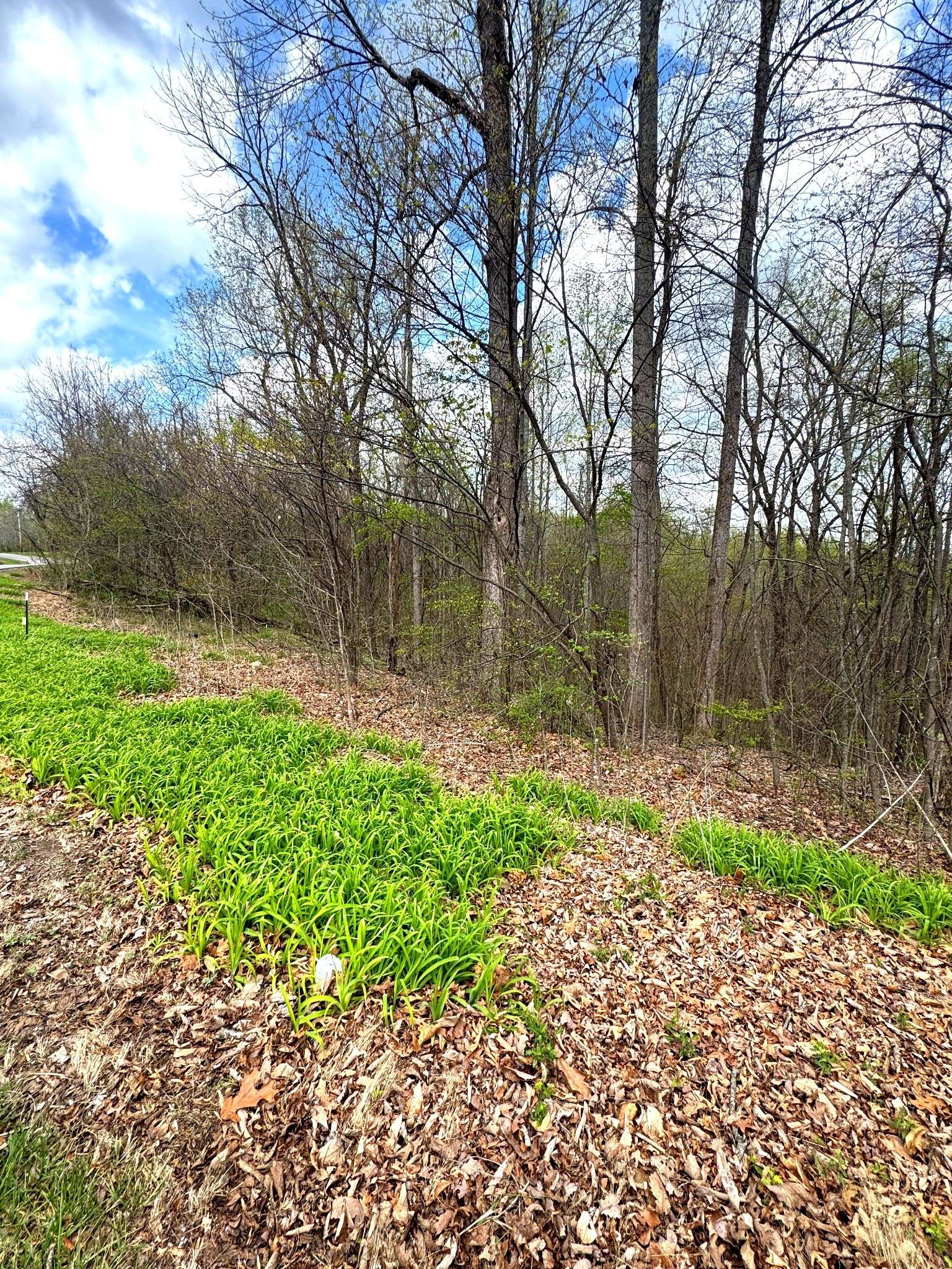 0 Coconut Ridge Rd, Smithville, TN 37166