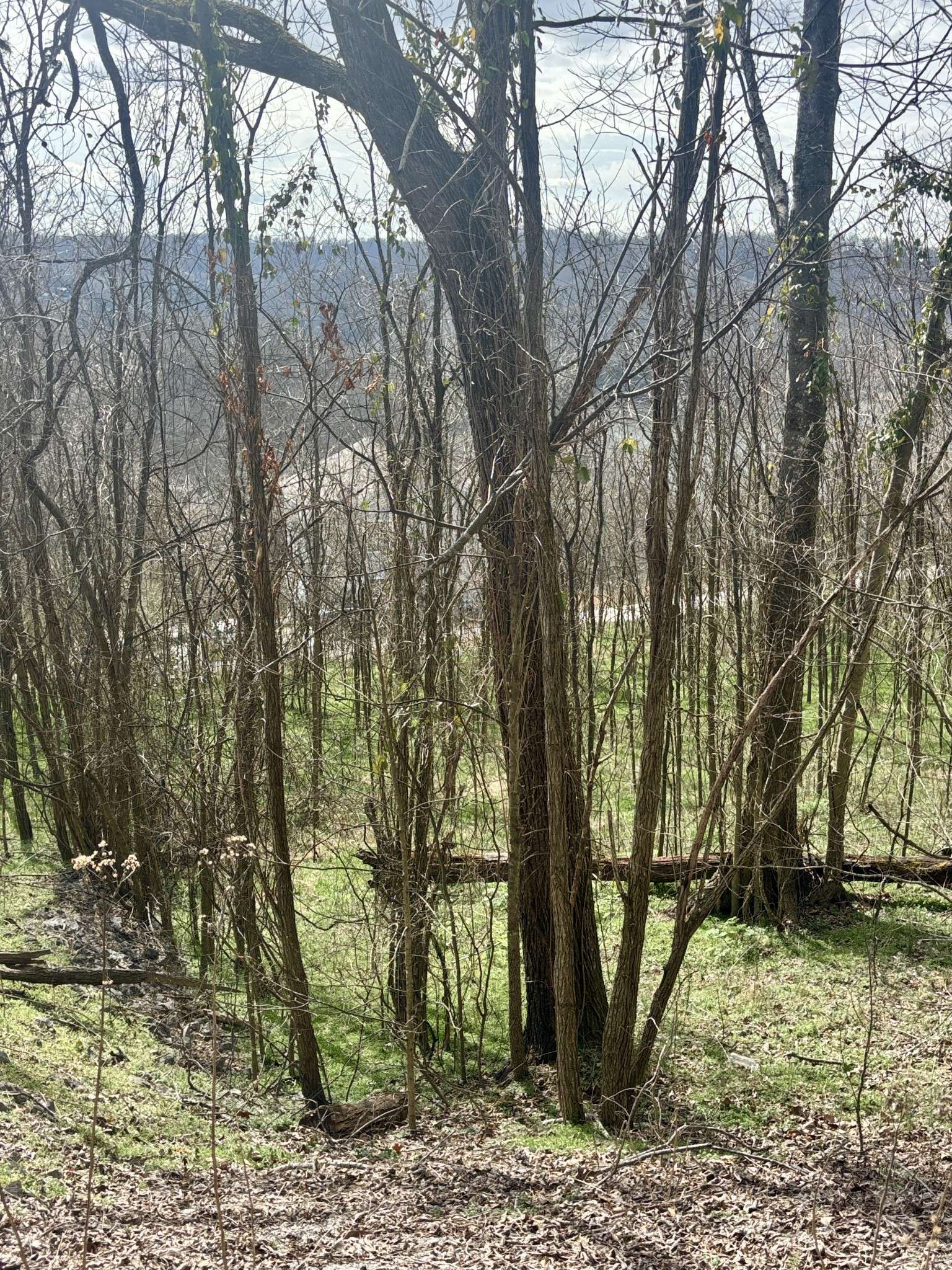 323 Seaton Dr, Smithville, TN 37166