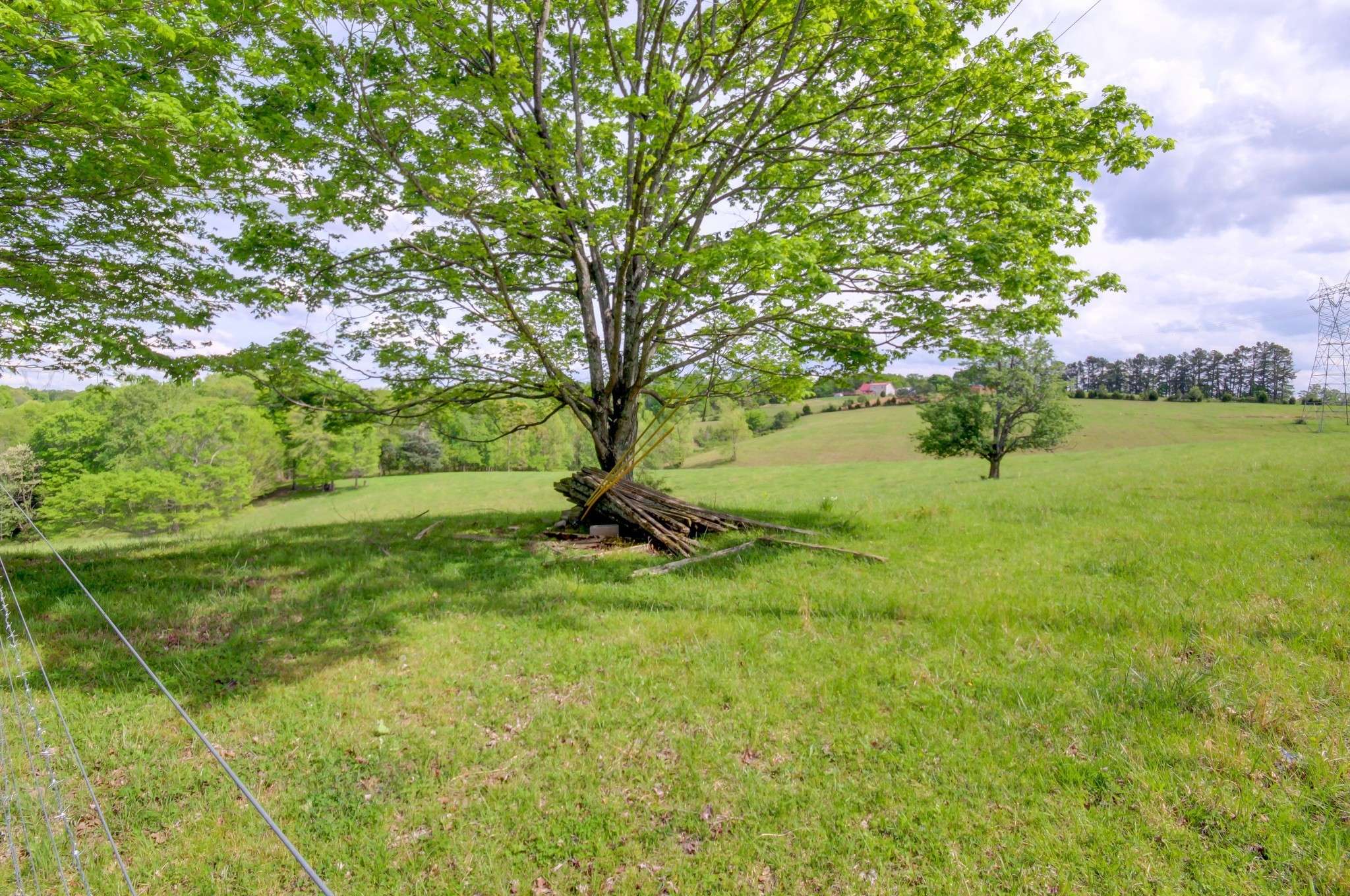 3915 Oak Ridge Rd, Palmyra, TN 37142