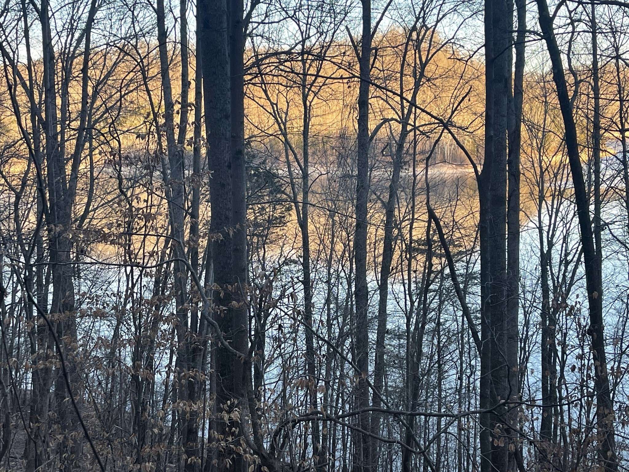 0 Back Bone Rd, Sparta, TN 38583
