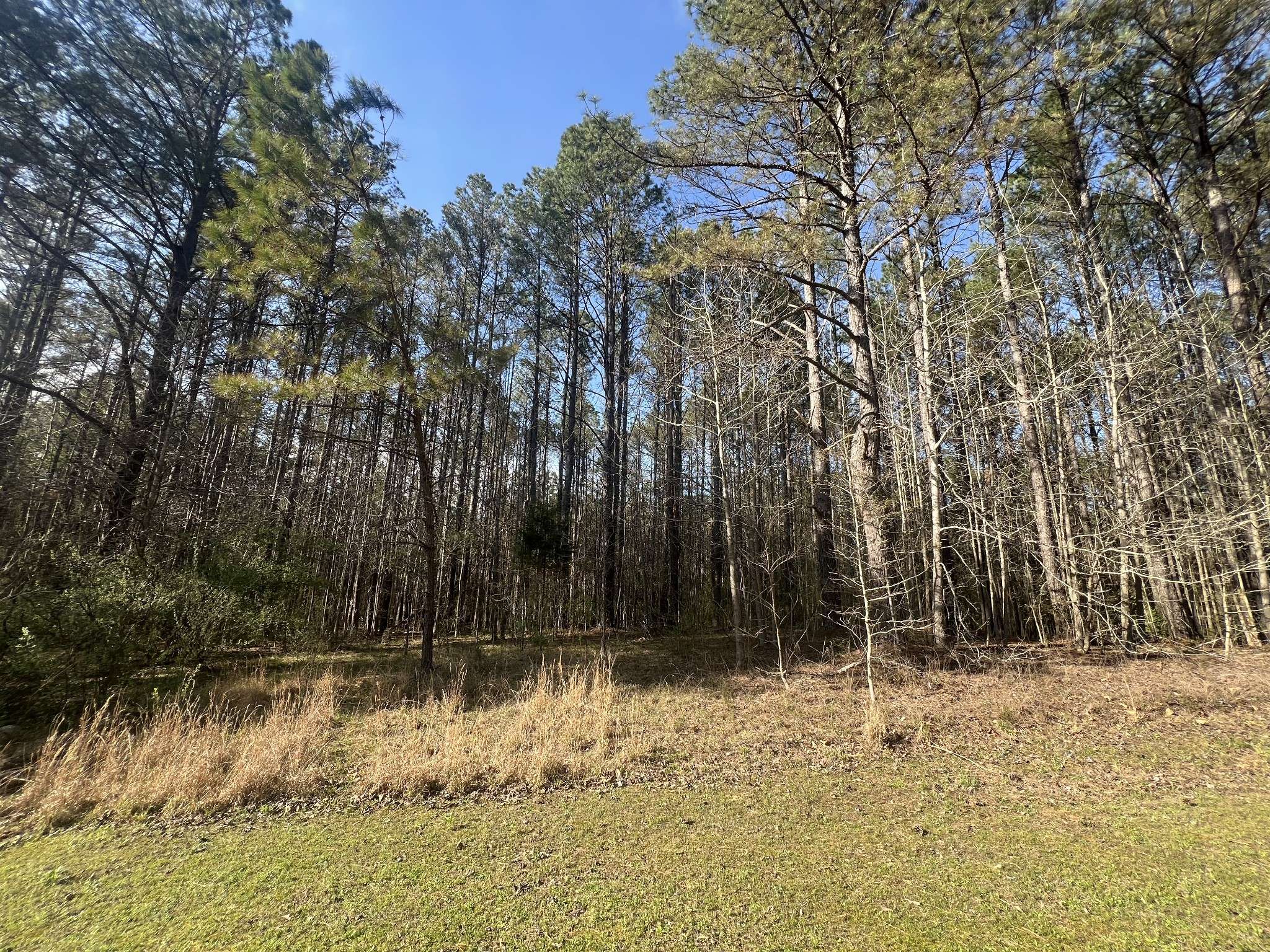 116 Zara Spook Dr, Cedar Grove, TN 38321
