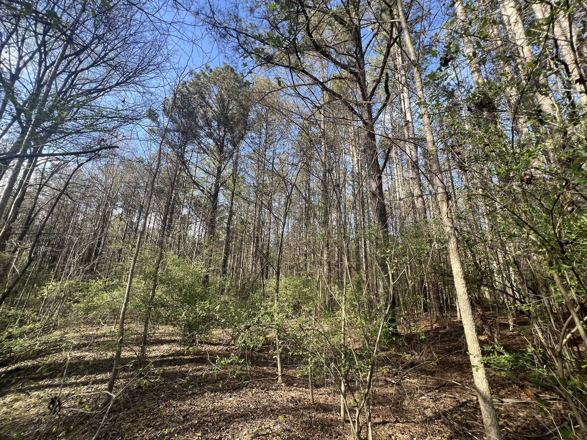 116 Zara Spook Dr, Cedar Grove, TN 38321